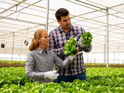 Farming_400x300px